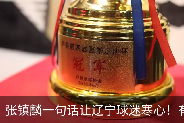张镇麟一句话让辽宁球迷寒心！有些话不能说得太直白，耗子尾汁吧